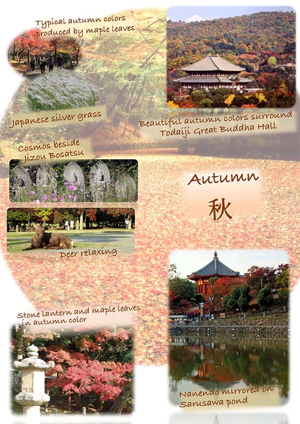 Four Seasons in Nara for autumn #1