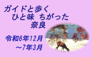 ガイドと歩くひと味ちがった奈良 実施予定一覧 [令和6年12月 ～令和7年3月]