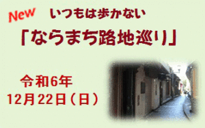 ガイドと歩くひと味ちがった奈良 いつもは歩かない「ならまち路地巡り」 [令和6年12月22日（日）13:00～16:00頃]