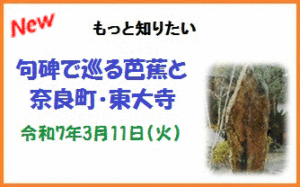 もっと知りたい「句碑で巡る芭蕉と奈良町・東大寺」 [令和7年3月11日（火）13:00～16:00頃]