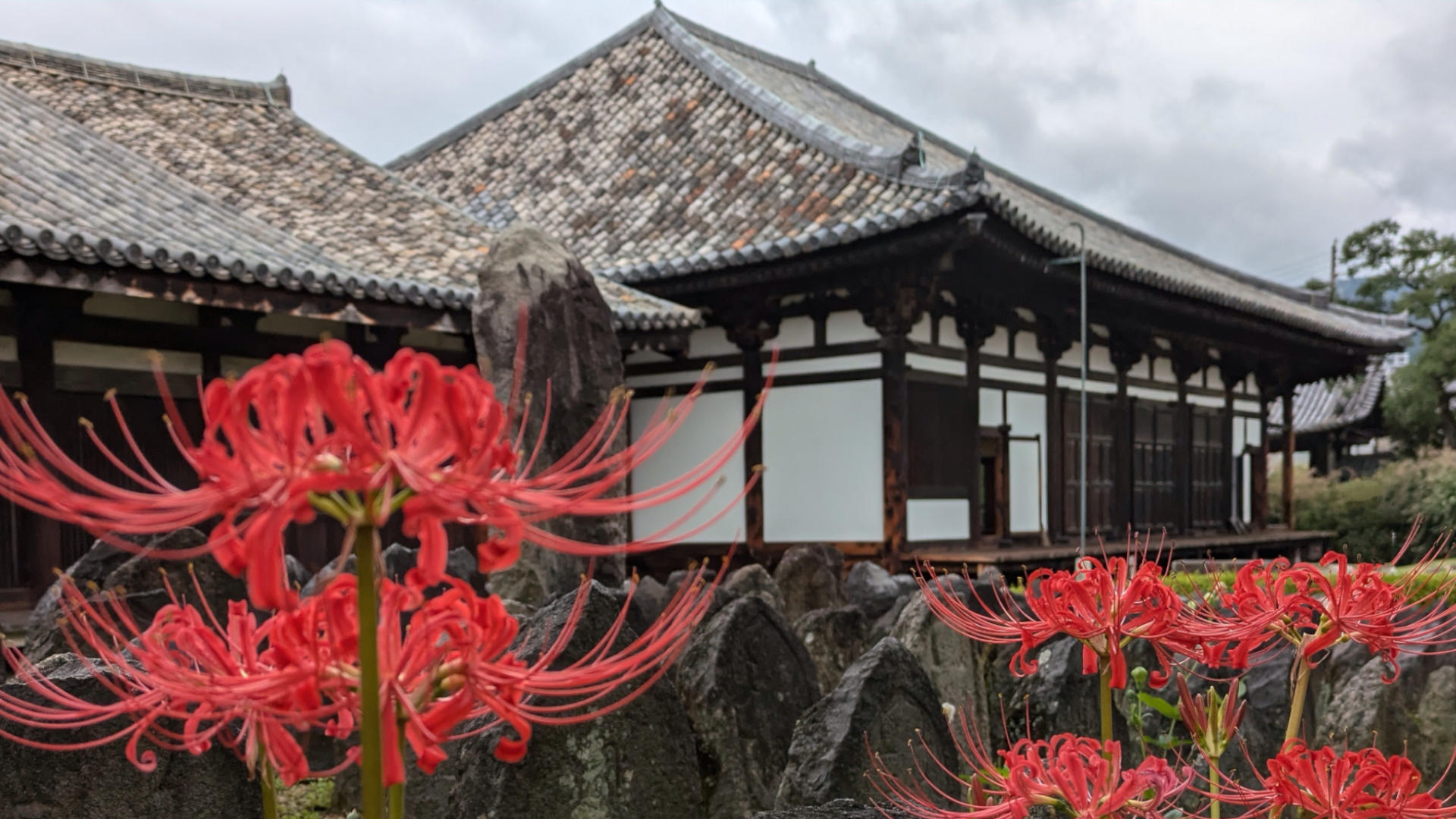 元興寺の彼岸花