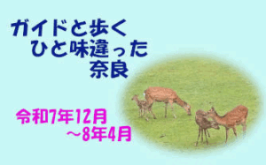ガイドと歩くひと味ちがった奈良 実施予定一覧 [令和7年12月 ～令和8年4月]