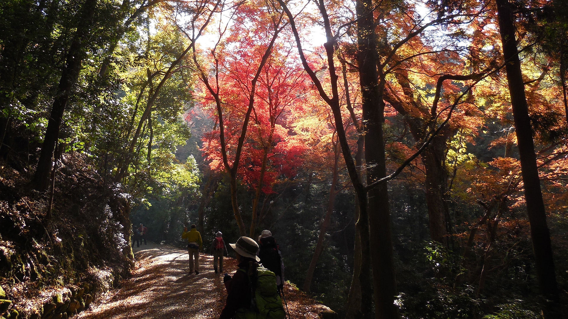 若草山登山道