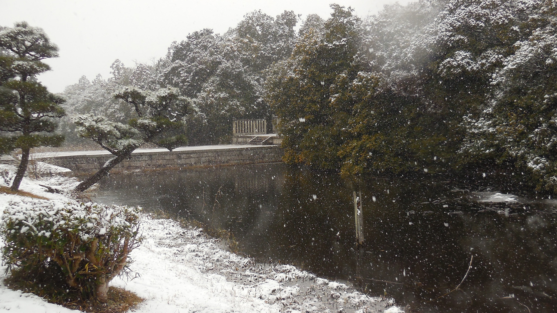 雪の磐之媛命陵