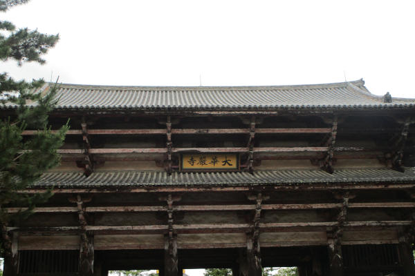 修学旅行ガイド【東大寺南大門、仁王さんを小中学生にわかるようにガイドします】