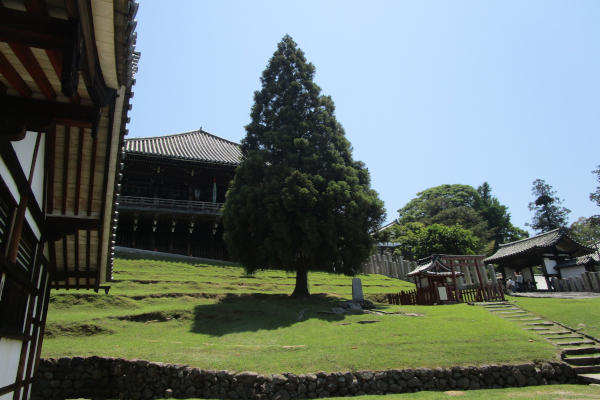 修学旅行ガイド【二月堂、修二会を小中学生にもわかるようにガイド】