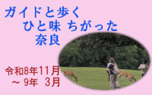 ガイドと歩くひと味ちがった奈良 実施予定一覧 [令和8年11月 ～令和9年3月]